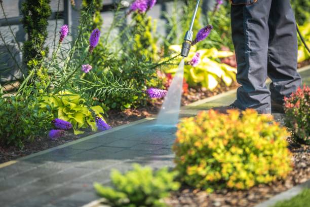 Best Patio and Deck Pressure Washing  in Troy Hills, NJ